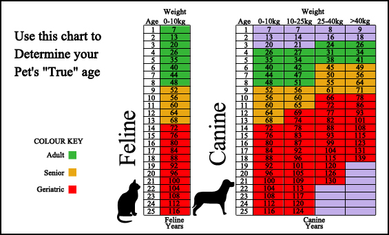 Grand Blanc Veterinary Hospital - Surveillance Screening